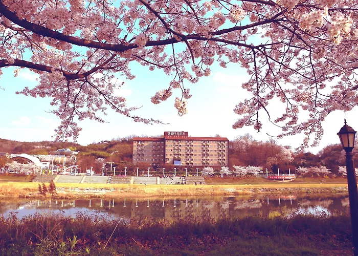 Kensingtonresort Jirisannamwon