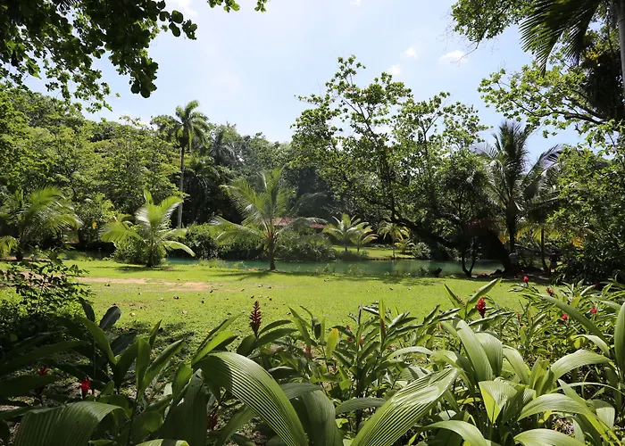 Frenchman'S Cove Resort