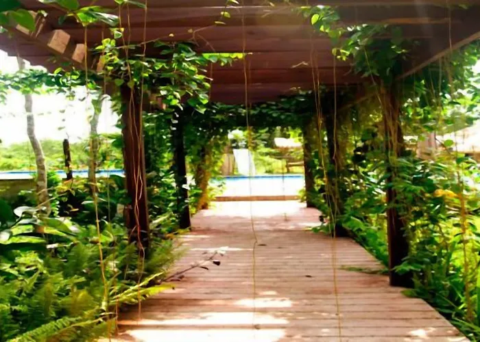 Panglao Kalikasan Dive Resort