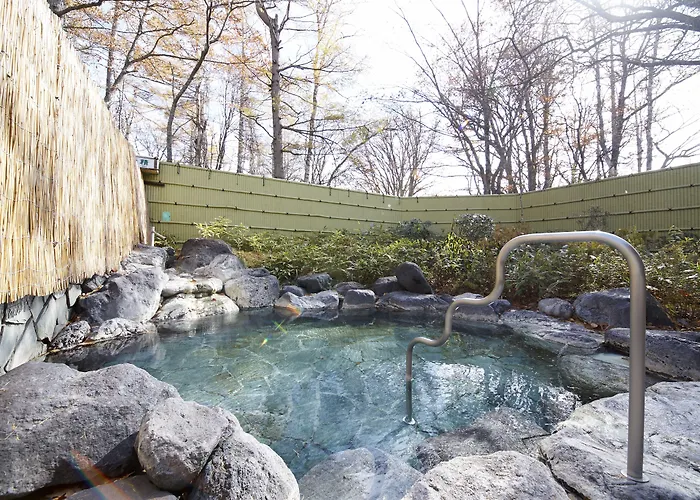 Nikko Astraea Hotel