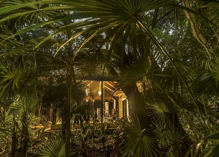 Viceroy Riviera Maya, A Luxury Villa Resort - Adults Only