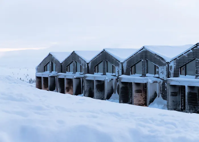 Star Arctic Hotel & Activities
