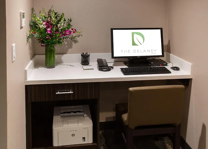 The Delaney Hotel