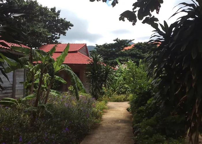 Tan Son Nhat Con Dao Resort