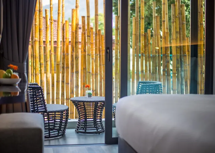 Hotel Clover Patong Phuket