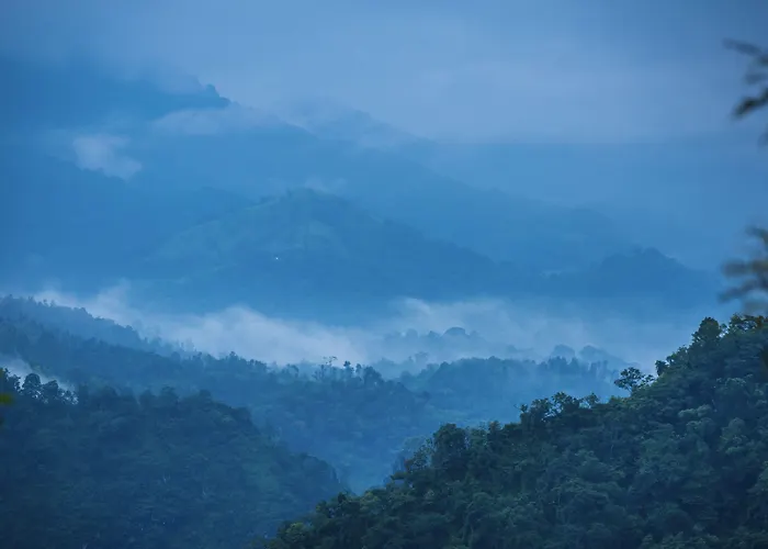 After The Rains - Rainforest Lodge, Wayanad