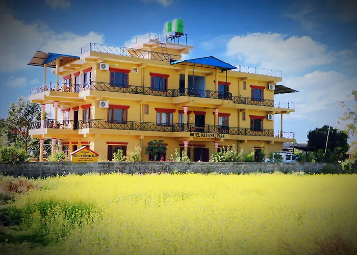 Hotel National Park Sauraha- Homely Stay And Peaceful Location With Jungle Safari Arrangements