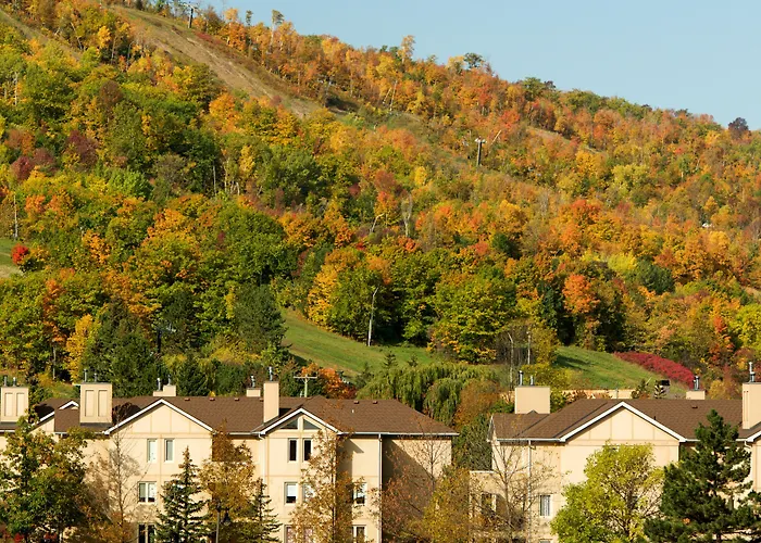 Blue Mountain Resort Home Collection