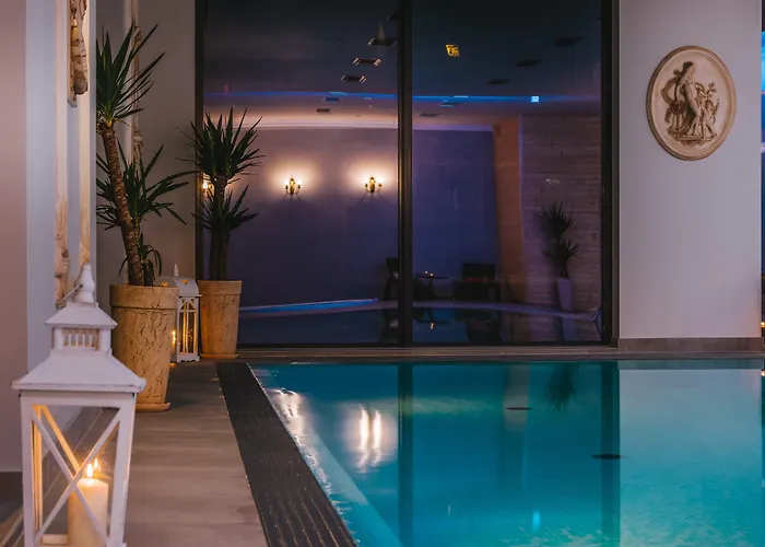 Hotel Paryski Art & Business Zakopane - Basen Jacuzzi Sauna Malpi Gaj