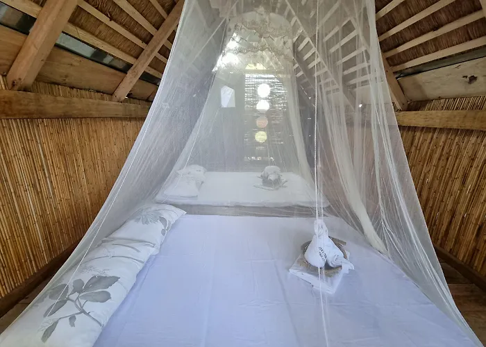 Zen Tierras Farm Powered By Cocotel