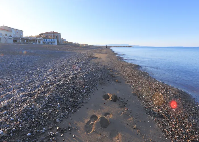 Hotel Cecina Beach
