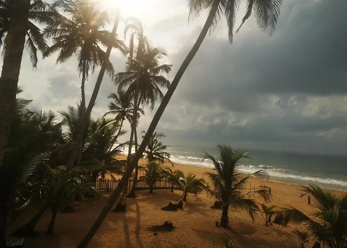 Bungalow Acces Direct Plage Privee "Plage Tropicale Chez Jack Et Regine"