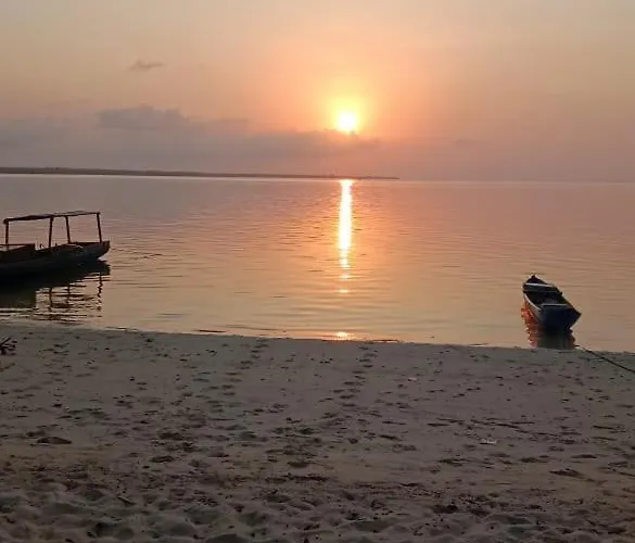 Hoga Island Dive Resort