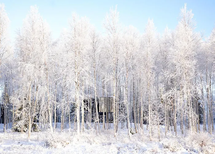 Silver Birch Resort Lapland