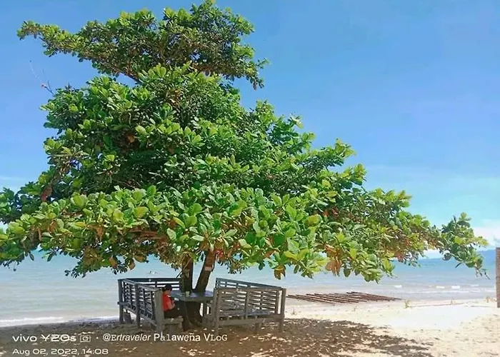 Coconut Beach Bar And Cottages