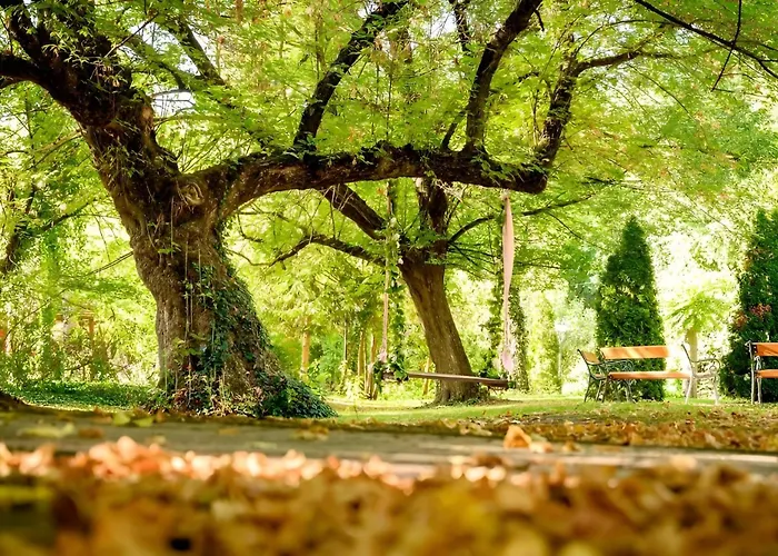 Forster Vadaszkastely Wellness Es Konferencia Szalloda