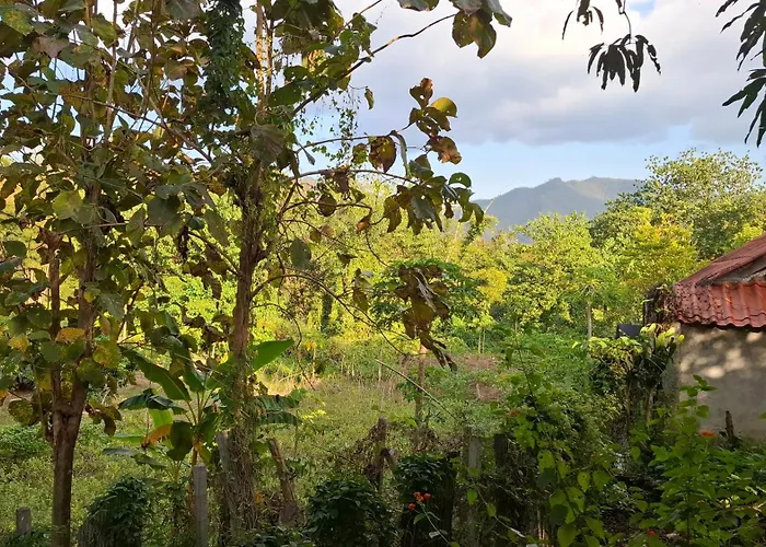 Oasis Pai Resort