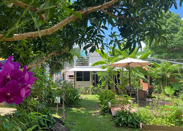 Beach Jungle