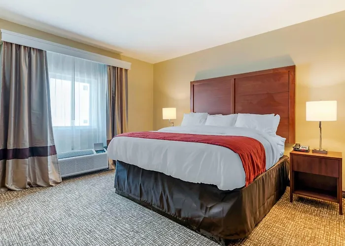 Comfort Inn & Suites Michigan City South