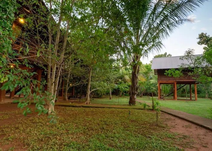 Chena Huts Eco Resort