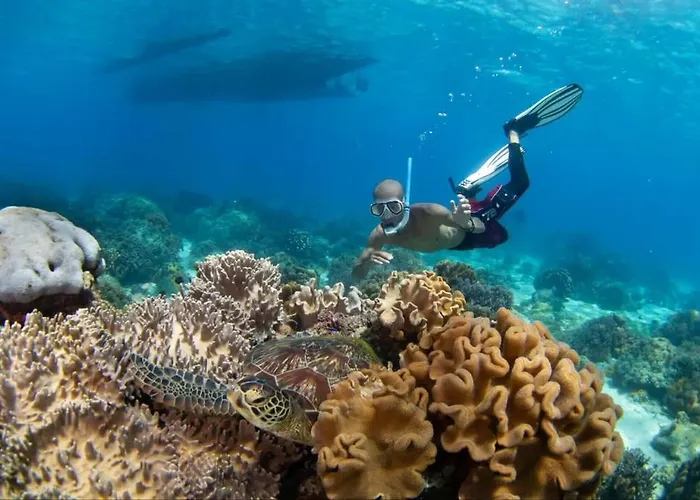 Baki Divers And Beach Resort