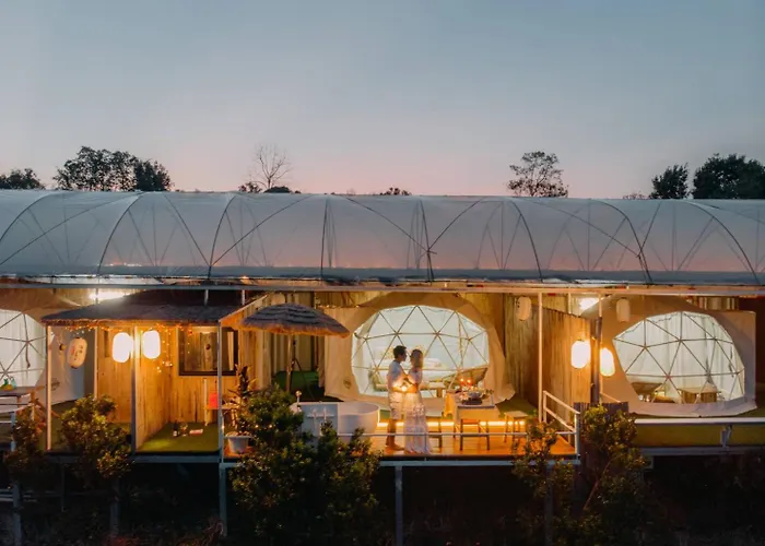 Paopao Orange Farm And Home Stay