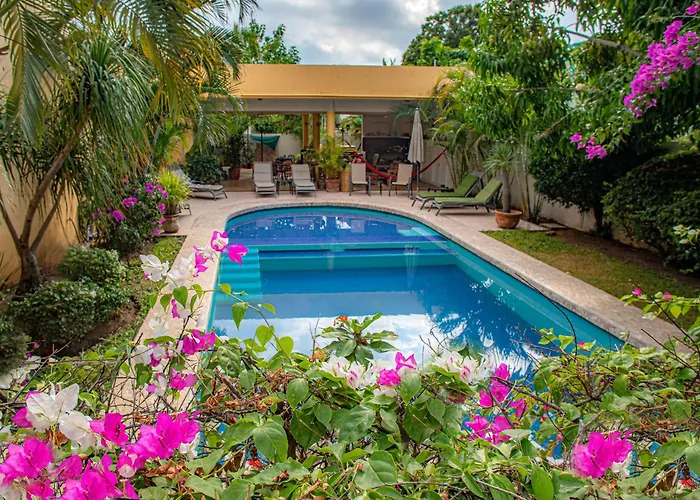 Hotel Zandoyo Bed & Breakfast