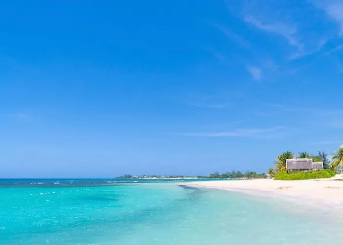 Ocean Tropical Escape 1Br 1Ba Ocean View