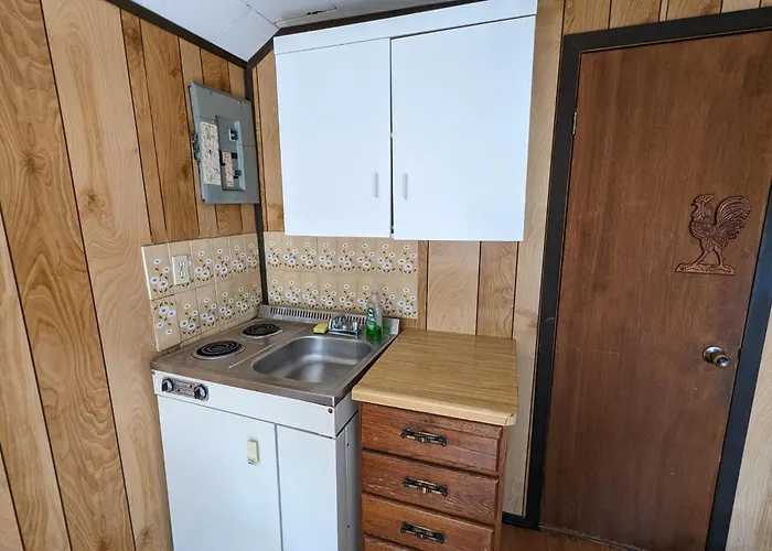 Tiny Wood Cottage 12