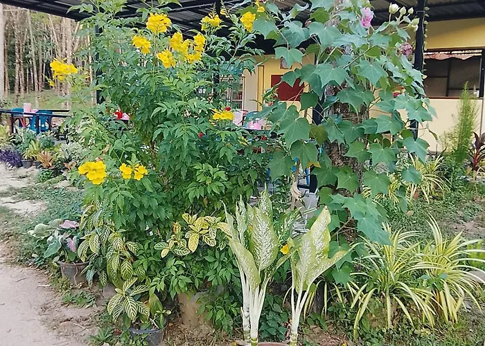 Bangkaew Camping Place Bangalow