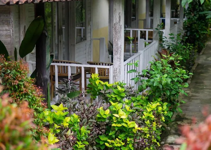 The Lucky Cottage