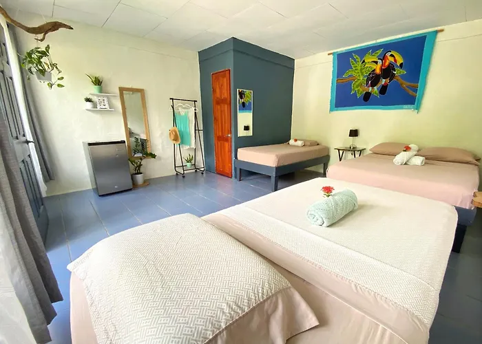 Rooms & Pool Macaws