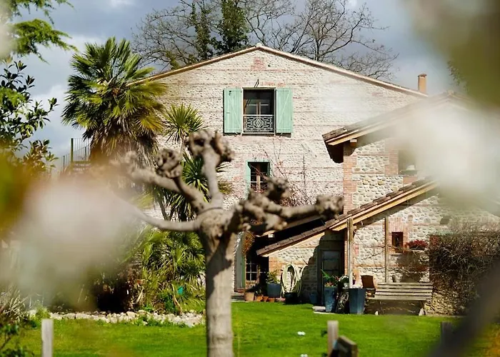 Mas Des Fleurs - Olive House