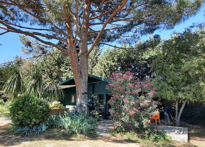 Mas Des Fleurs - Olive House