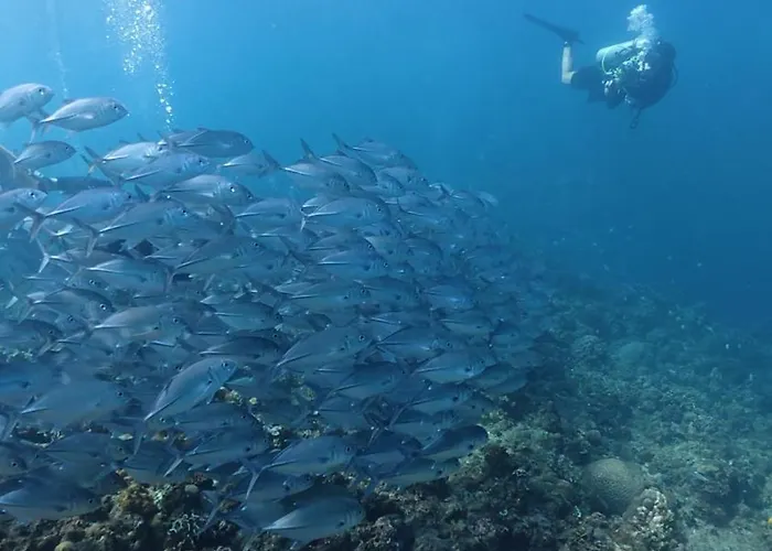 Kantil Dive Resort