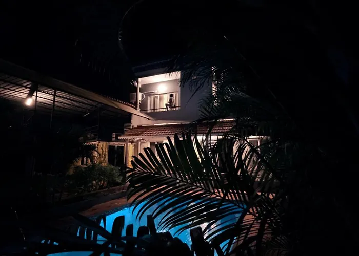 Untold Nights Auroville