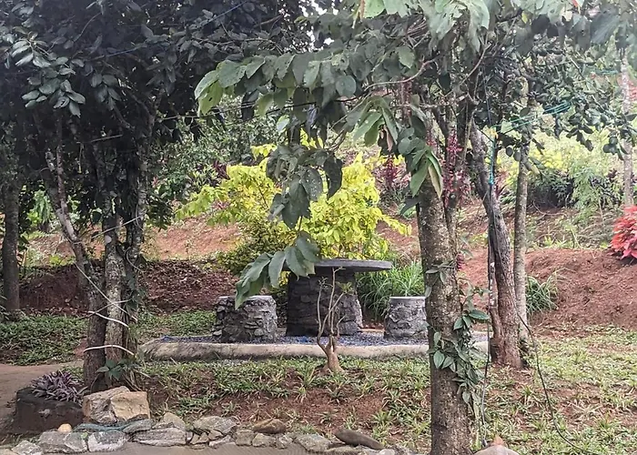 Spirit Of The Wild Mountain Retreat