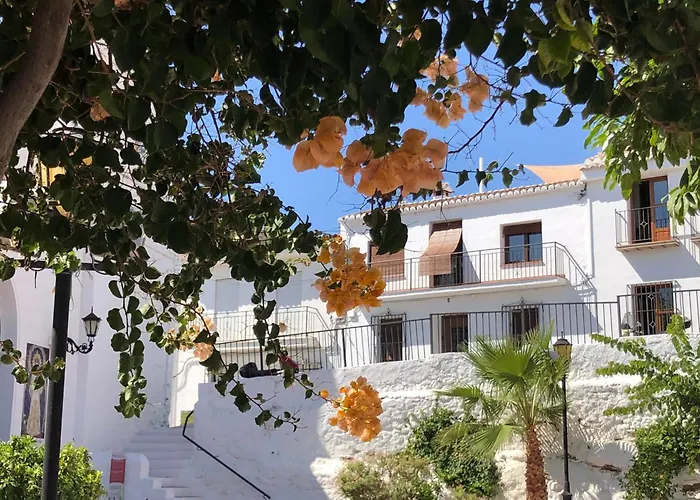 Casa Olivo Maro