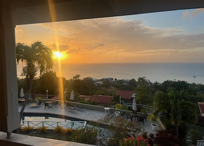Halcyon Views