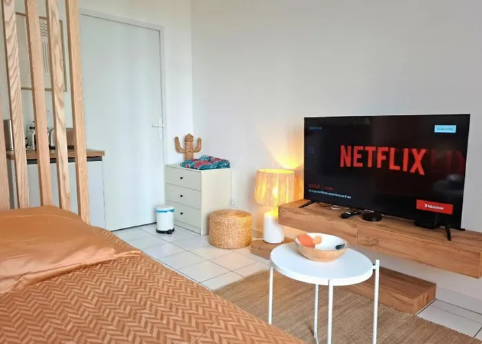 Le Petit Bali - Studio de Standing avec Wi-Fi&TV, proche tramway