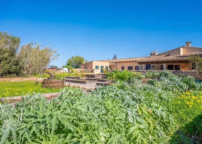 Agroturismo Mondrago -Antic Na Martina-