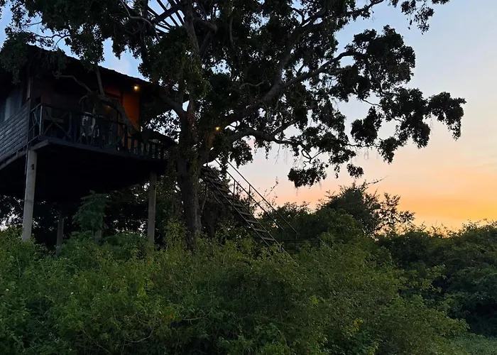 The Campers Lodge Yala