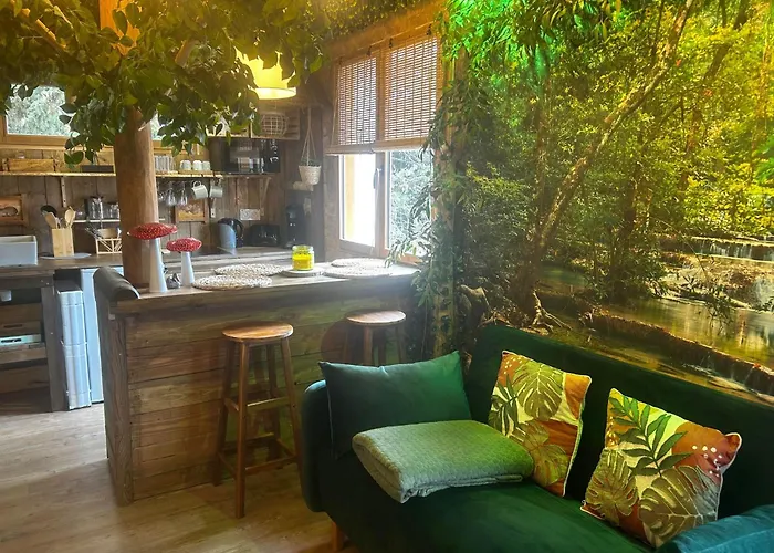 Les Chambres de Paulette - LOGEMENTS A THEMES - CHAMBRE JACK SPARROW - CHAMBRE KOH LANTA - CHAMBRE HARRY POTTER - CHAMBRE ZEN