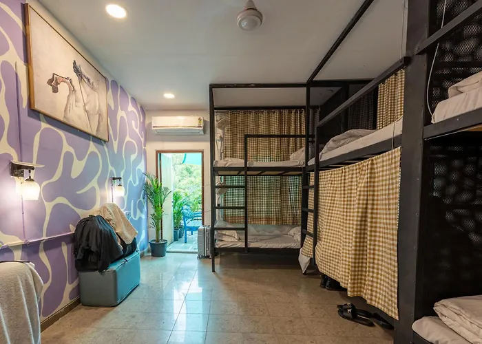 Whiite Panda - Backpacker Hostel In Delhi Greater Kailash