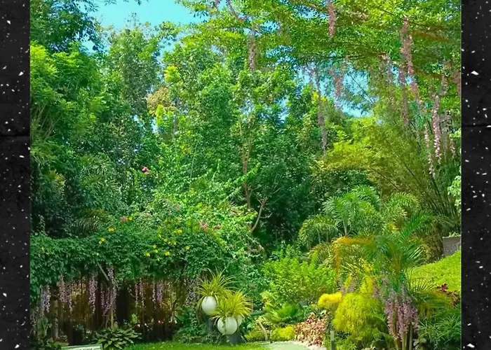 Jardin De Ysabelle