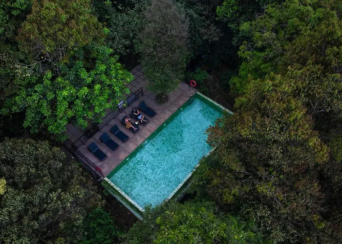 Wayanad Wild - A Cgh Earth Experience