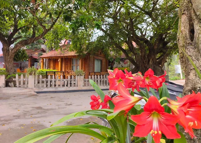 Tam Coc Sunshine Homestay