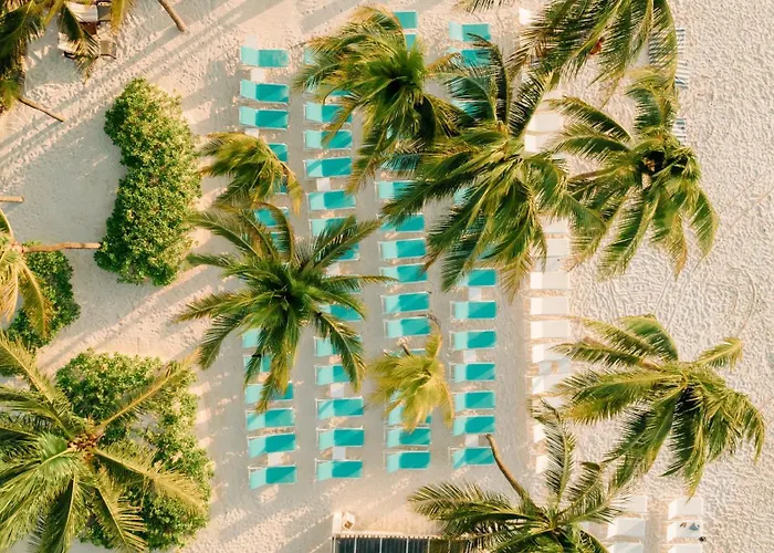 Catalonia Royal Tulum Beach & Spa Resort Adults Only