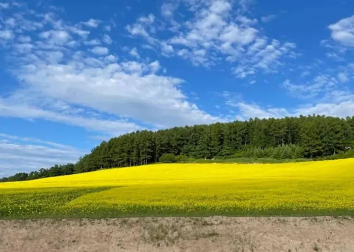 Furano - Hotel / Vacation Stay 35850