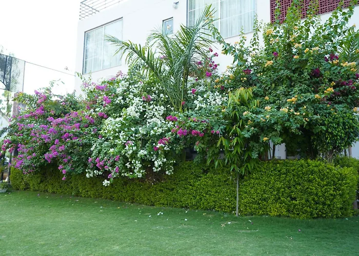 The Golden Valley Hotel And Resort , Sariska